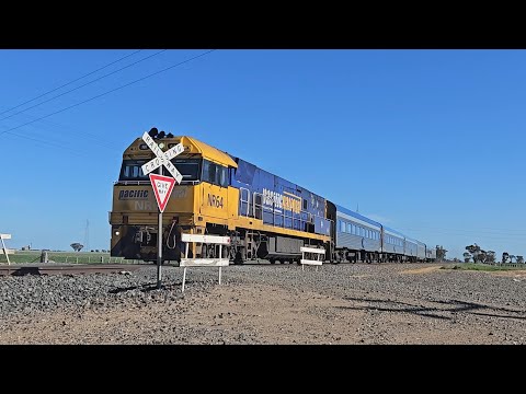 1AM8 up JBRE The Overland (NR64, 6V), Adelaide to Melbourne, 1410, 24/8/25, Jung VIC 