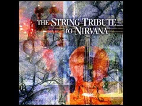 Polly - Vitamin String Quartet Performs Nirvana