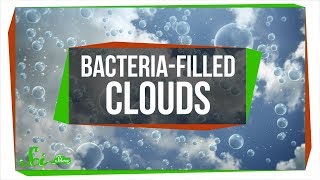 Bioprecipitation: How Bacteria Makes Snow