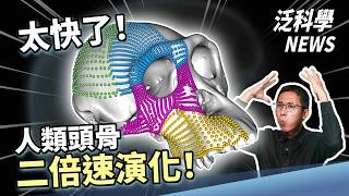 Google的量子電腦有用了！是什麼吞了膽固醇液晶的光？【泛科學NEWS】