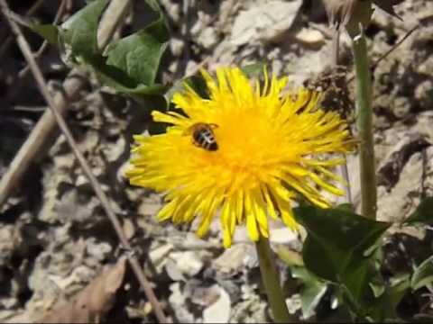 Bad Urach Haus auf der Alb