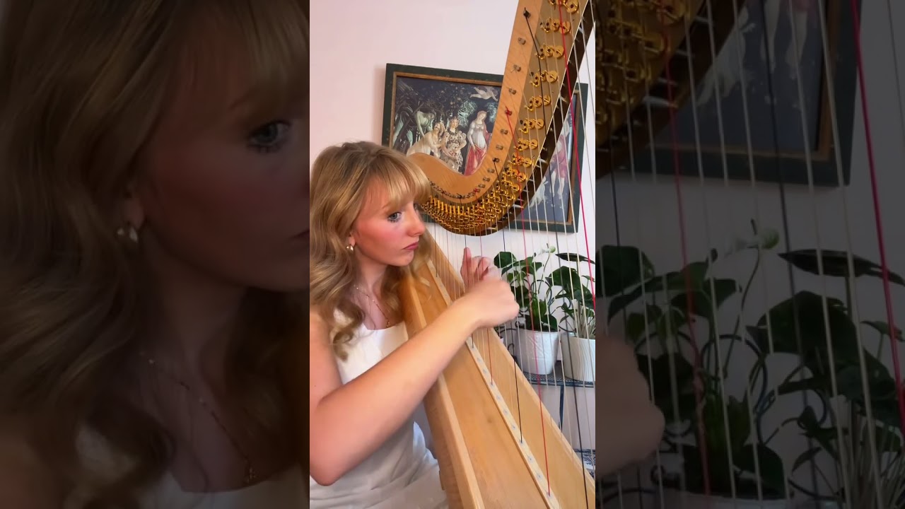 Promotional video thumbnail 1 for Chicago Harpist Anya Pasowicz
