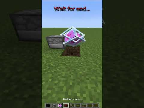 Real_Gaming - Build Hack in minecraft #shorts #minecraft