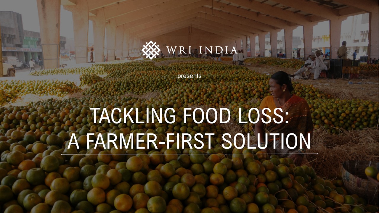 Tackling Food Loss: A Farmer-First Solution