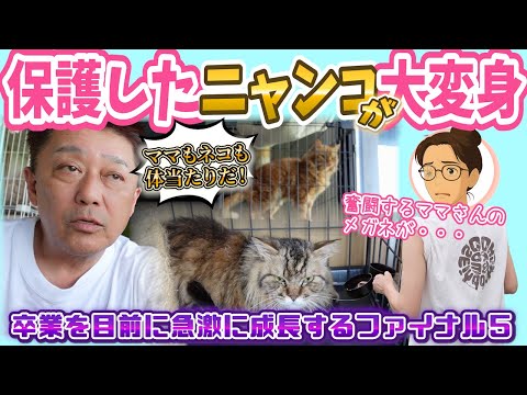 出てきた！しゃべった！甘えた！栃木5の進化論〜卒業前の爆速成長記録〜