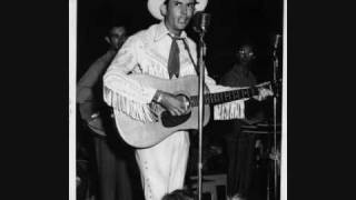 Hank Williams Fly Trouble