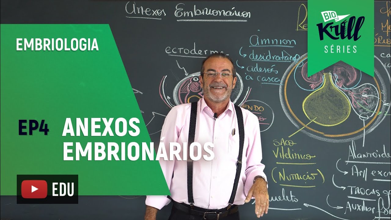Anexos Embrionários (Embriologia - EP 4) | Biokrill Series