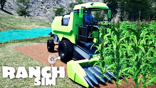 RANCH SIMULATOR: FAZENDO A PRIMEIRA COLHEITA #39