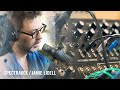 Moog Synthesizer Spectravox