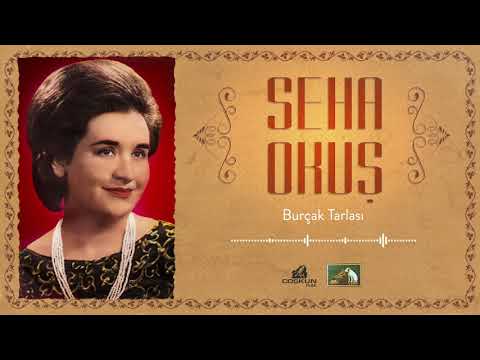 Seha Okuş - Burçak Tarlası (1965)