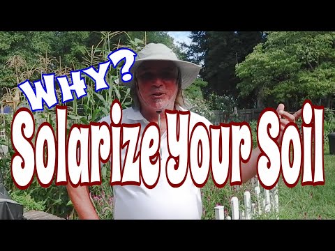 Why How And When To Solarize Your Garden Soil?
