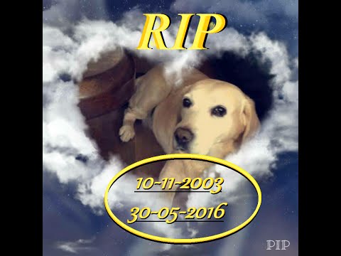 afscheid nemen van nala #RIP