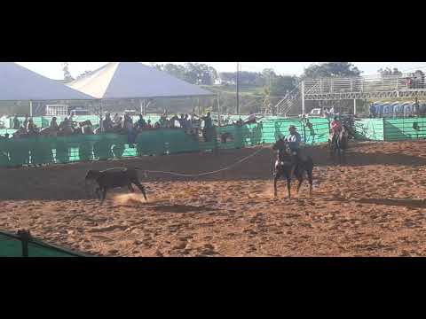prova de laço 🐴 Taciba SP🇧🇷