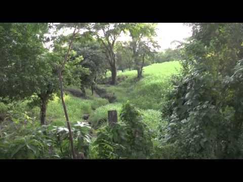 Reverse Mission  Celebrating 50 Years in El Salvador