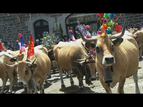 download lagu mp3 mp4 Fete De La Transhumance, download lagu Fete De La Transhumance gratis, unduh video klip Download Fete De La Transhumance Mp3 dan Mp4 Music Online Gratis
