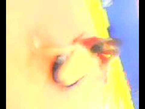 Isac de Oliveira - Jiu Jitsu