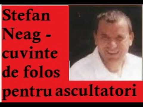 Stefan Neag , indemnuri stranse intr-un mic colaj, de folos..
