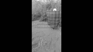 Download lagu Status wa // Menolak Waras dari Mt. Pundak mp3