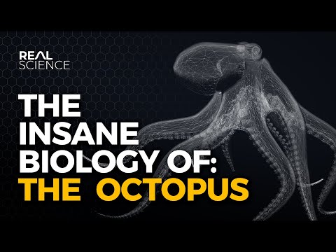 The Alien Biology of the Octopus