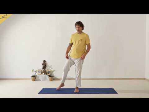 Adler - Garudasana - 84 Hauptasanas - Teil 72