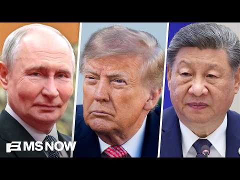 Trump thinks he, Putin and Xi are 'mafia dons': Natl. security expert
