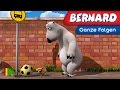 Bernard Bear 47 Der Kleine Hund