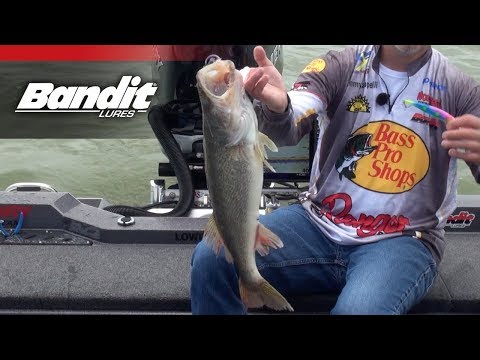 Bandit Generator | How To Catch Walleye In Dirty Water