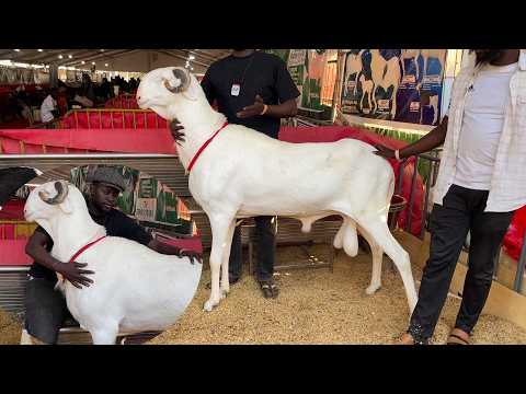 TAMSIR BEST HOPE REIT