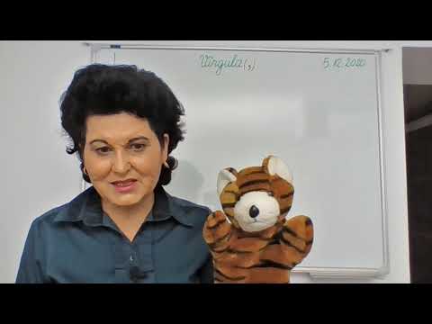 093, Lectii online, clasa a II-a, CLR - Semne de punctuatie - Virgula