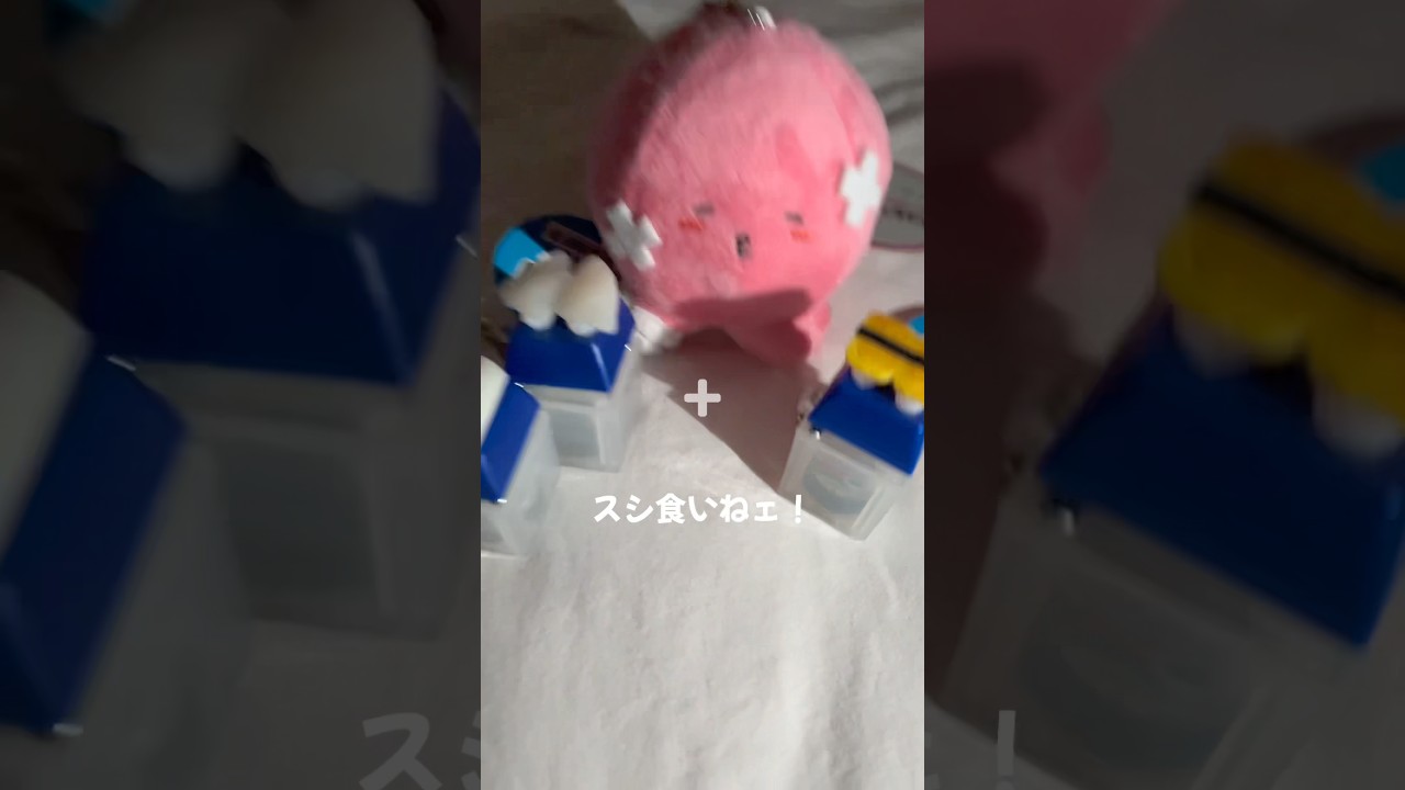 【Cover】スシ食いねェ!／シブがき隊　#アカペラ　#高校生　#shorts