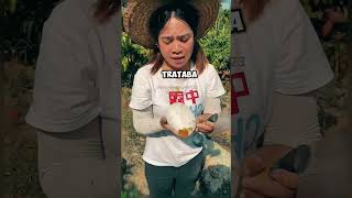 No Vas a Creer lo Que Había Dentro de Este Mango 😲🥭 #shorts