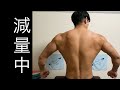 【減量中】8月の減量経過報告。体組成から見る結果はいかに?