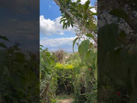 Laberinto Olivo Volcán Poás Alajuela Costa Rica