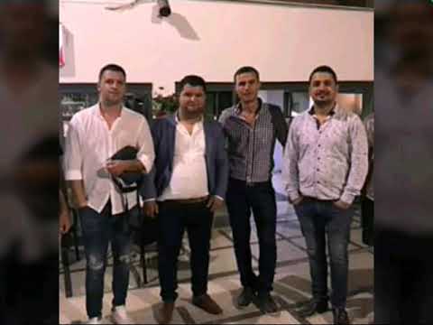 Flori demarku-Alegro-live.