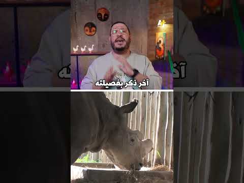 AJ+ كبريت