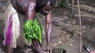 preview picture of video 'Yam Planting   west Tanna Island, Vanuatu HD'