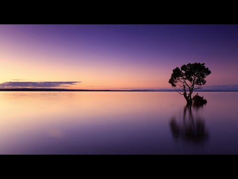 Matt Dean x Monsieur B - Lonely (feat  Machaela)