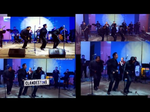 Tibero y sus gatos negros en #ClandestinoSessions