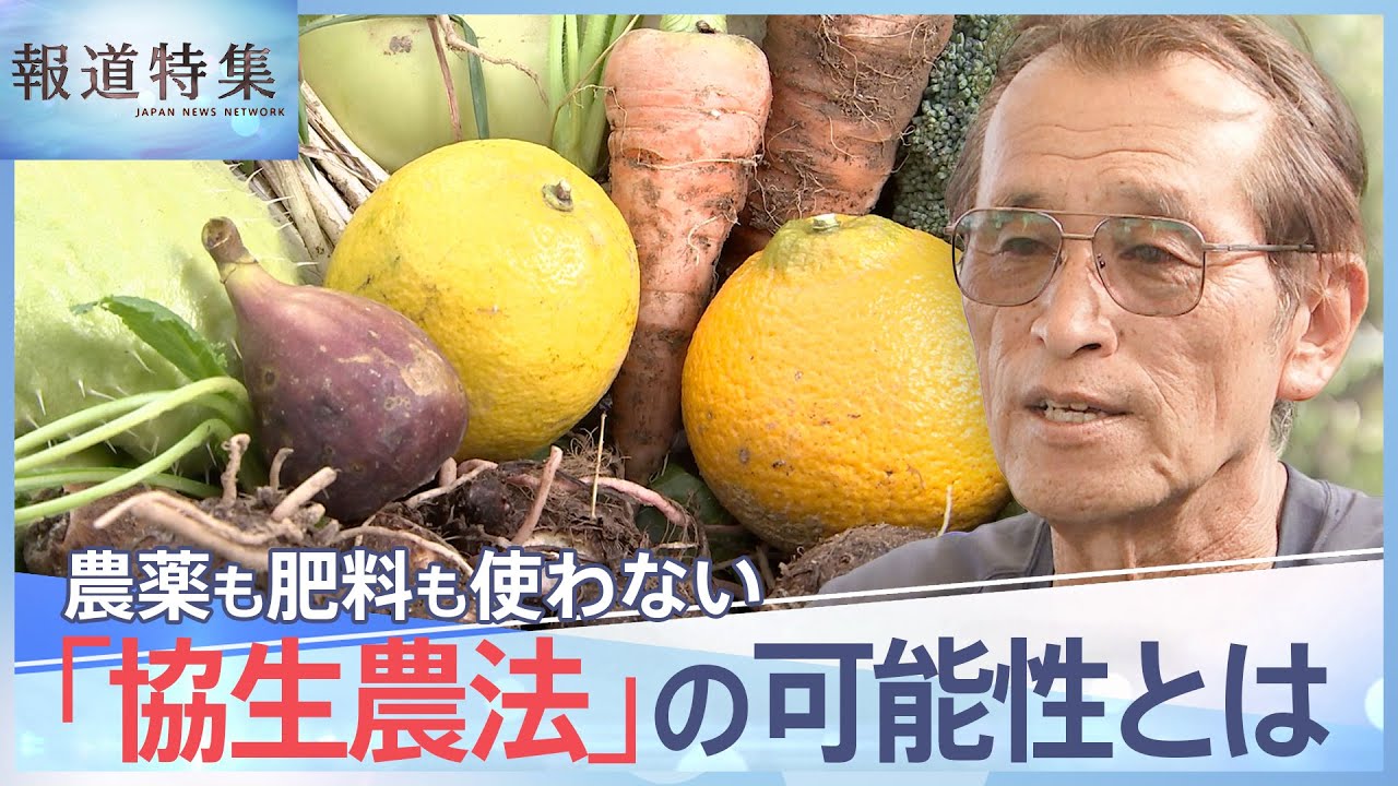 農薬・肥料使わず、土も耕さない、多様な作物を育てる「協生農法」の可能性とは【報道特集】｜TBS NEWS DIG