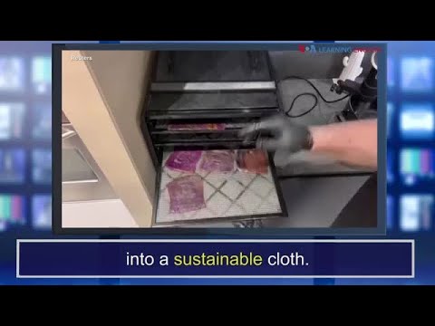 新聞詞條。可持續發展 (News Words: Sustainable)