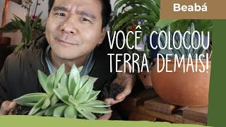 Miniatura do vídeo