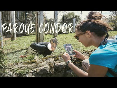Parque Cóndor, Ecuador 🇪🇨 Subtítulos en Español