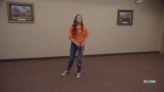 SDWR Training Avoid Chasing