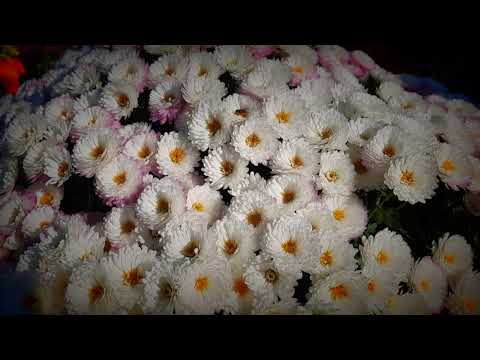 TKB - Dzień Wszystkich Świętych - 02.11.2021