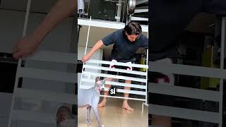 Este gato no se rinde… y el final te va a doler 🐈🥺