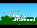 English Rhymes - Insects All Around