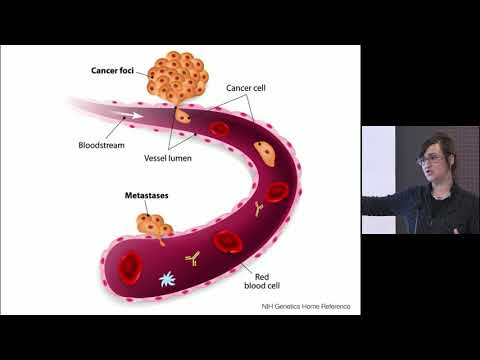 Why Cancer Is Everywhere