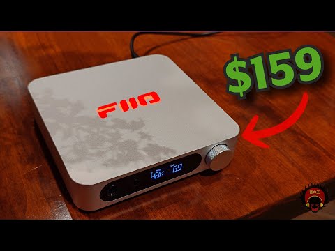 Z Gushes over the FiiO K11 "R2R"