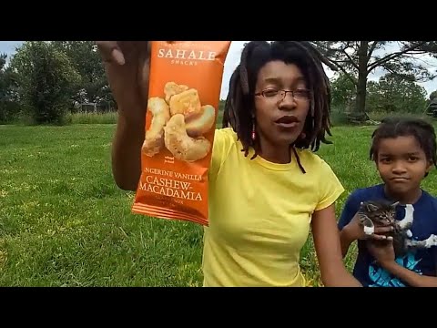3rd YouTube video about are sahale snacks vegan