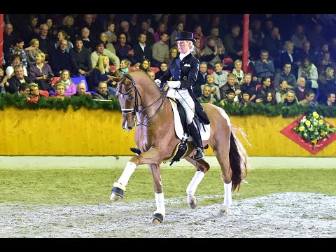 Vivaldi - Hengstkollektion Schockemöhle & Helgstrand 2021 DEU